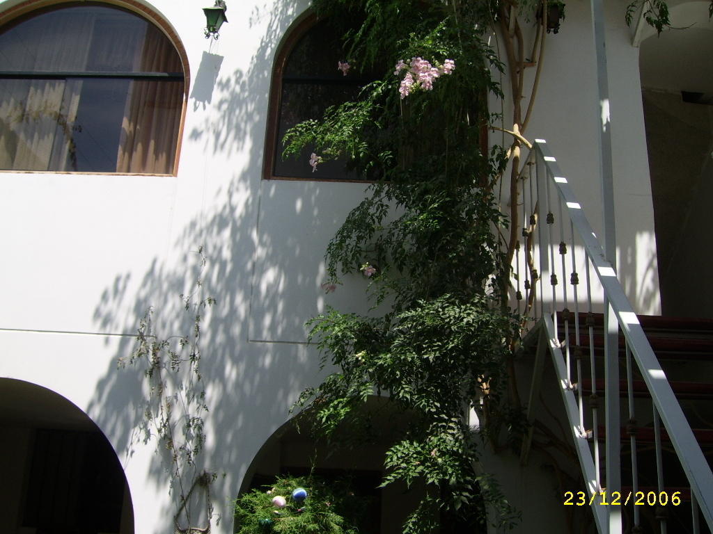 Hostal Camiluz นัซกา ภายนอก รูปภาพ