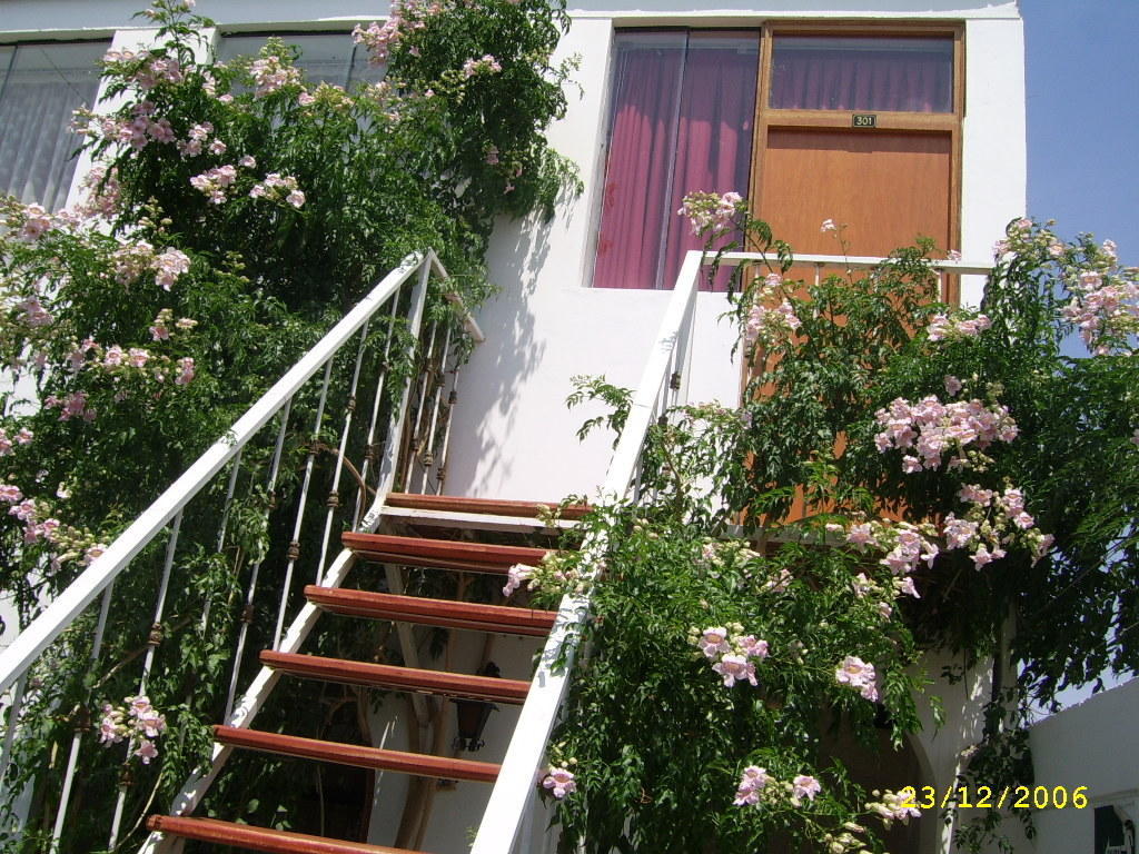 Hostal Camiluz นัซกา ภายนอก รูปภาพ